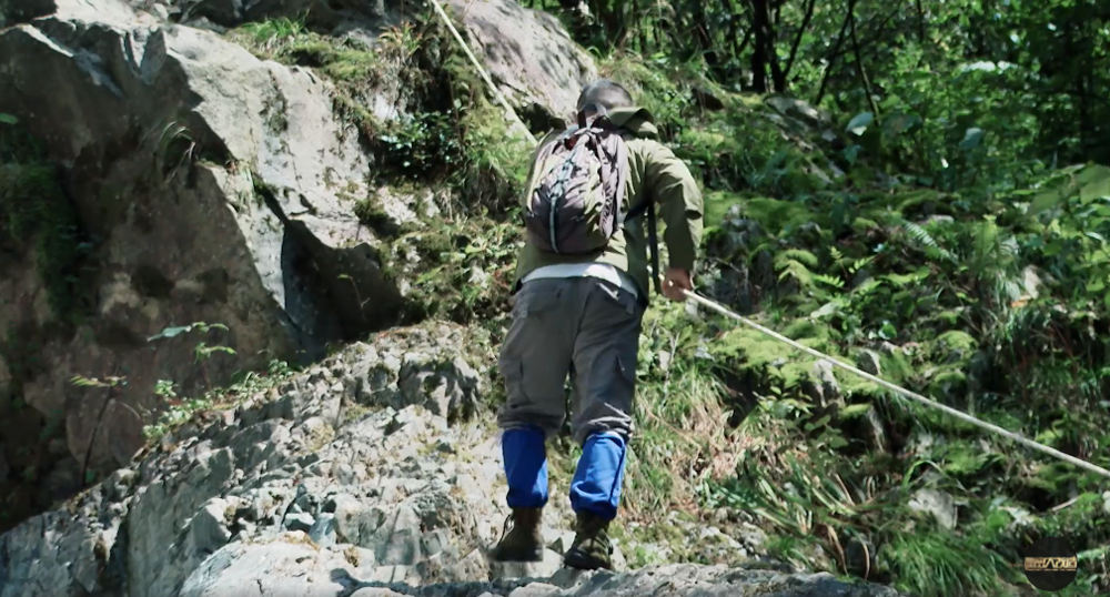 香港六合彩开奖结果现场直播