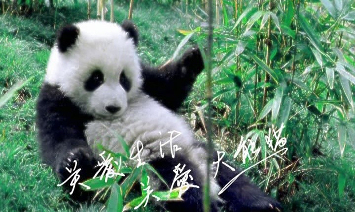 香港六合彩开奖结果现场直播