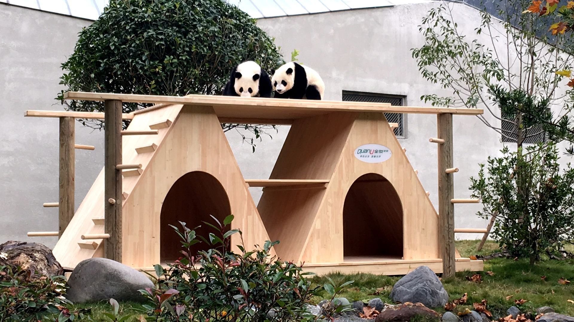 香港六合彩开奖结果现场直播