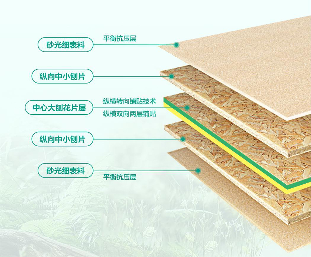 香港六合彩开奖结果现场直播