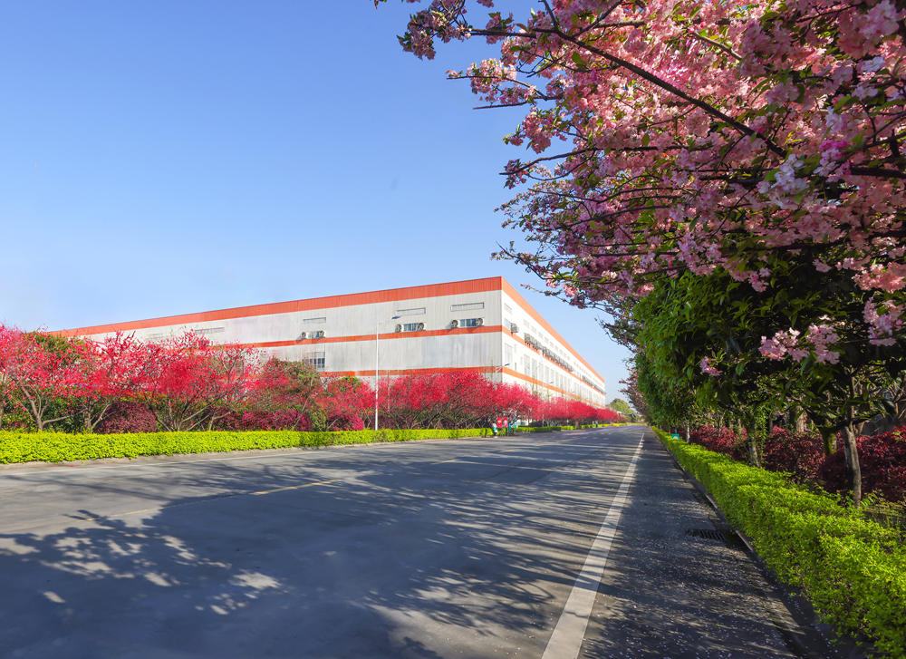 香港六合彩开奖结果现场直播