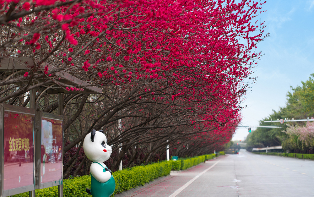 香港六合彩开奖结果现场直播