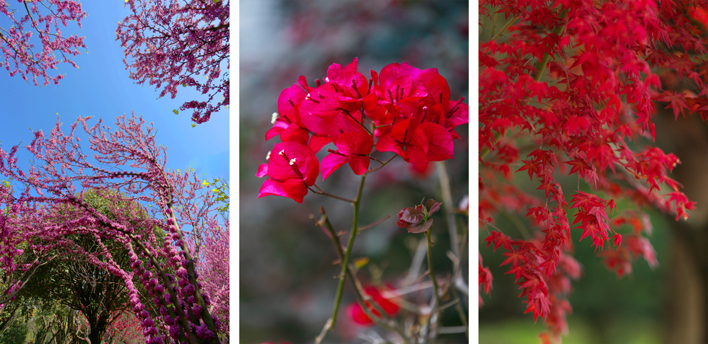 香港六合彩开奖结果现场直播
