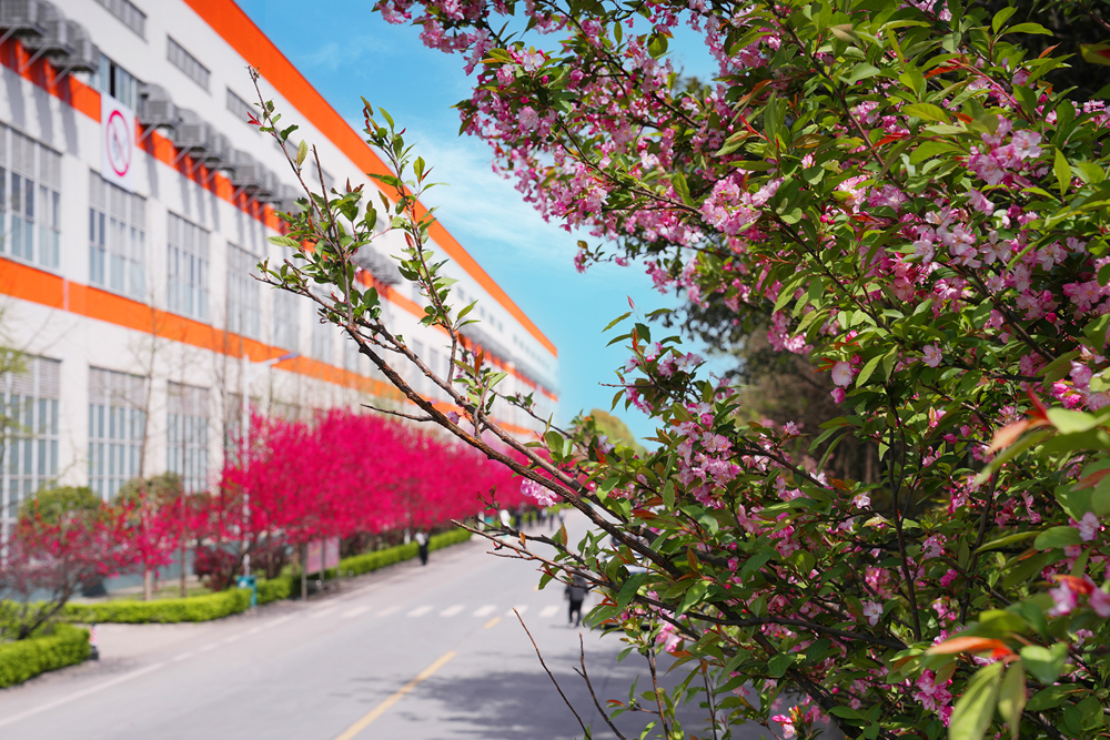 香港六合彩开奖结果现场直播