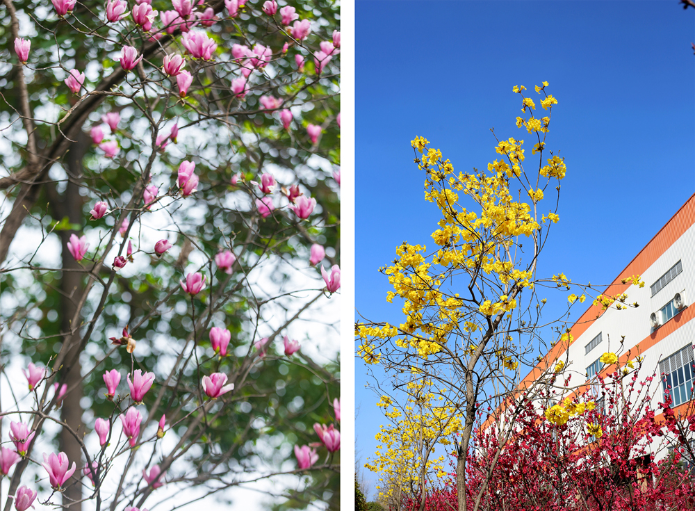 香港六合彩开奖结果现场直播