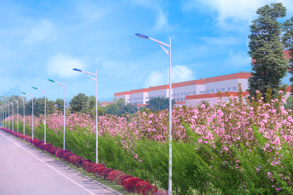 香港六合彩开奖结果现场直播